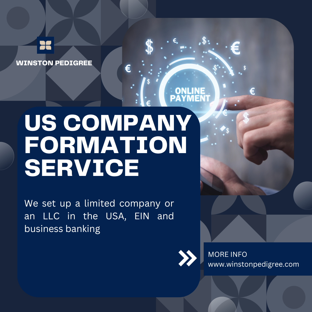 LLC - Company Formation Service