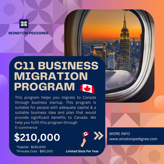 C11 Business Migration Program