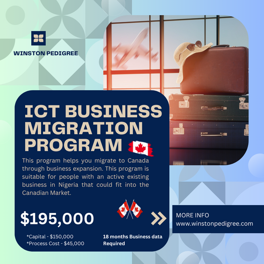 ICT Business Migration Program