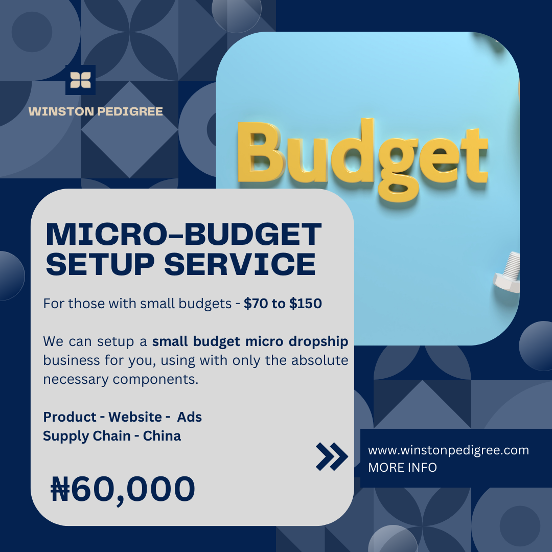 MICRO-BUDGET SETUP SERVICE