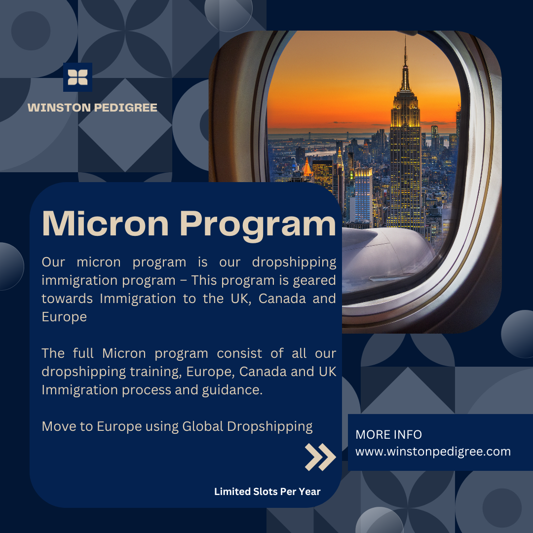 Micron Program