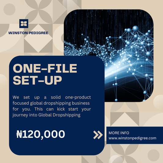 One-File Set up Service